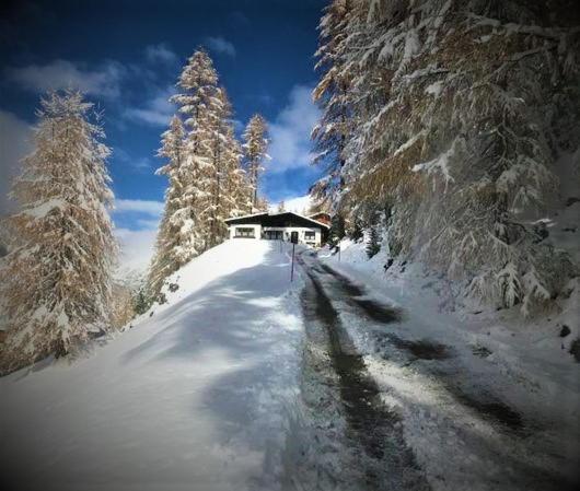 Gletscherbergblick Apartament